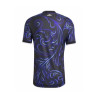 Maillot Argentine Extérieur 2026