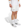 Maillot Allemagne Domicile 2026