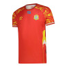Maillot Équipe Third 2025