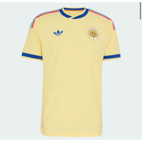 Maillot Équipe Domicile 2026